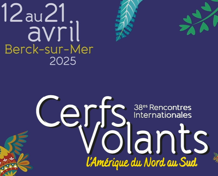 cerfs-volants-berck.jpg